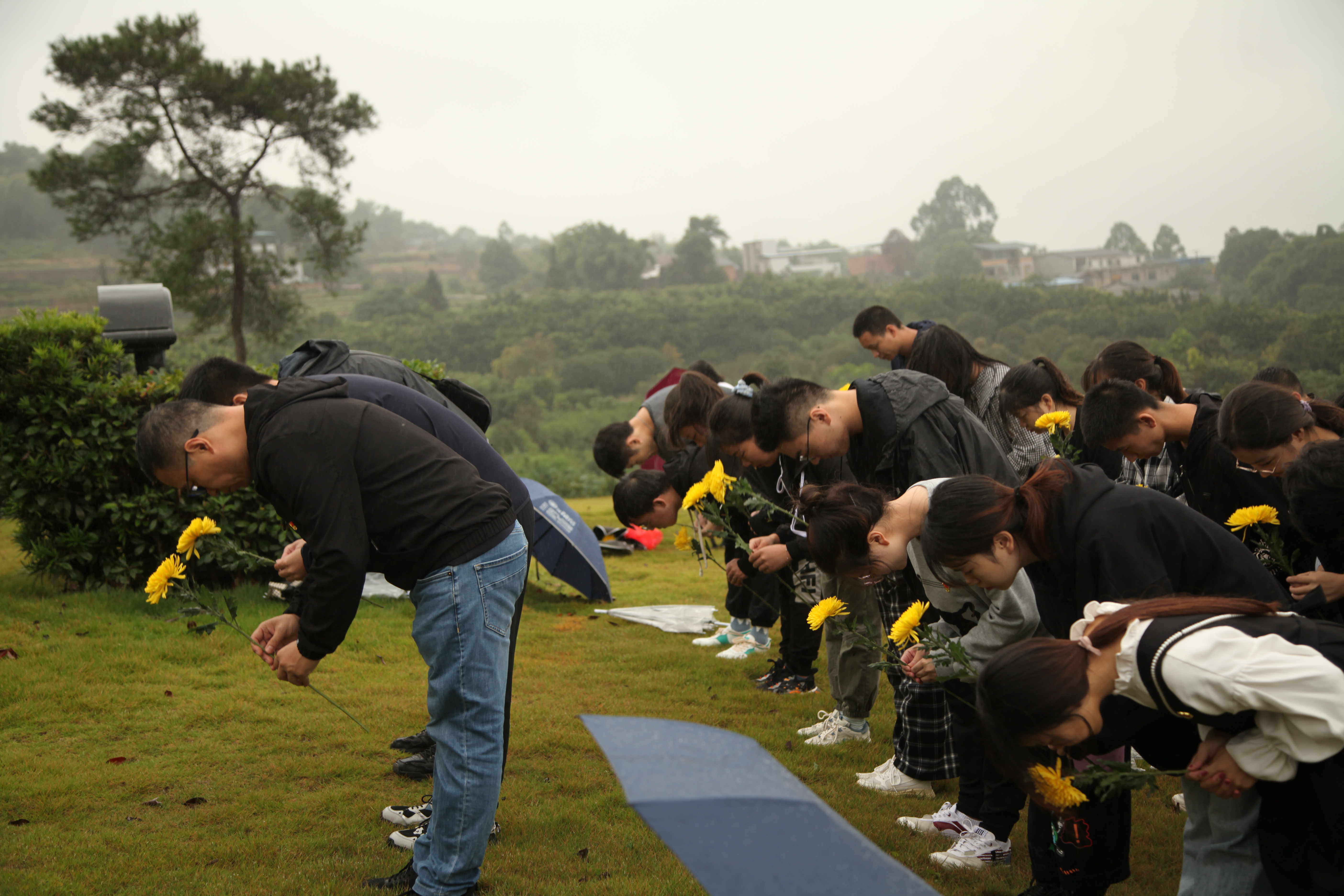 1634031859264007500.jpg 1634031859264007500.jpg