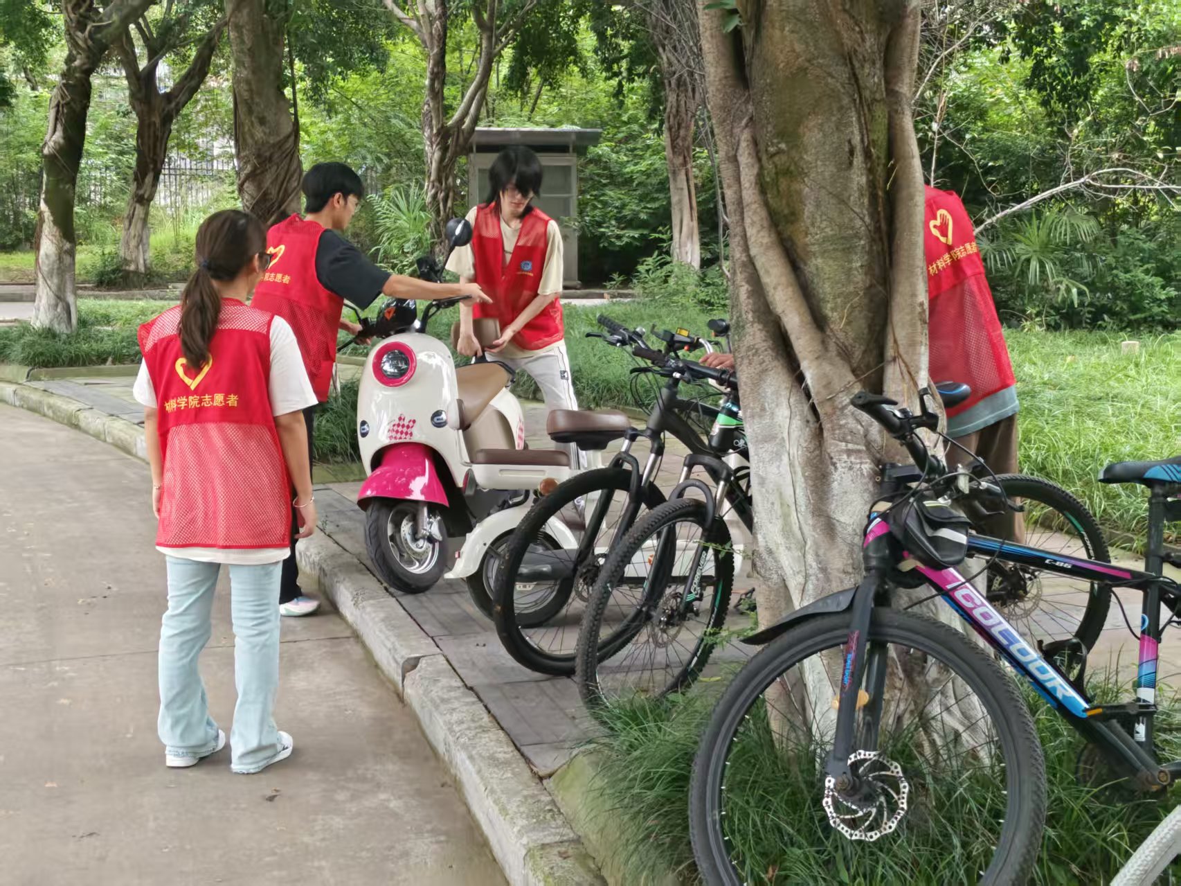 peHX_1757984220008007546.jpg peHX_1757984220008007546.jpg